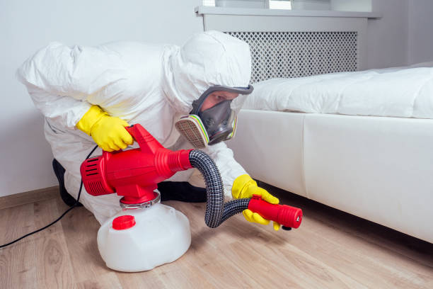 Best Affordable Pest Control Services  in River Road, NC