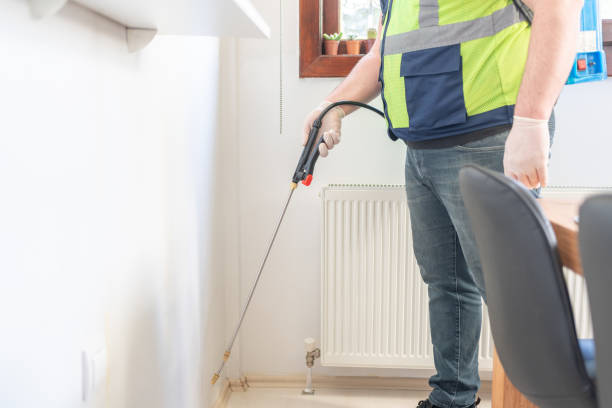 Best Wasp Removal Services  in River Road, NC