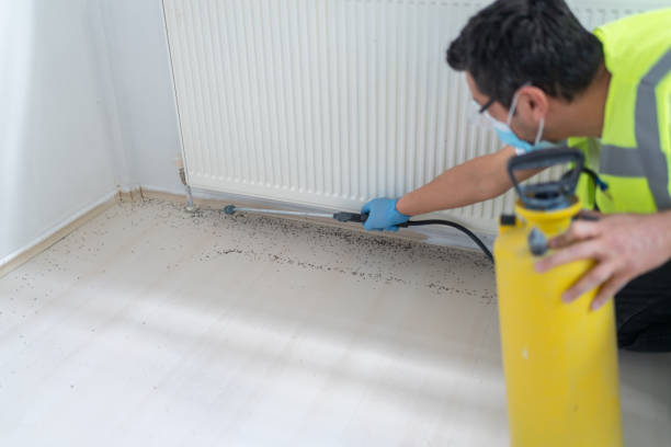 Best Exterminator Services  in River Road, NC