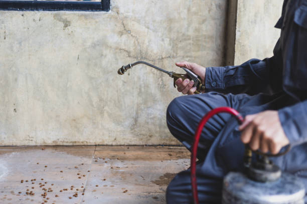 Best Termite Control Services  in River Road, NC